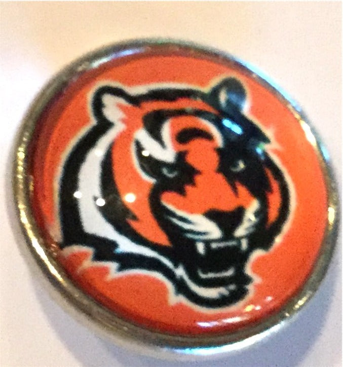 Cincinnati Bengals